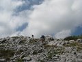 IMG_8414