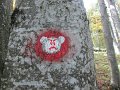 11_HPD-Pliva-Sveta-Gera