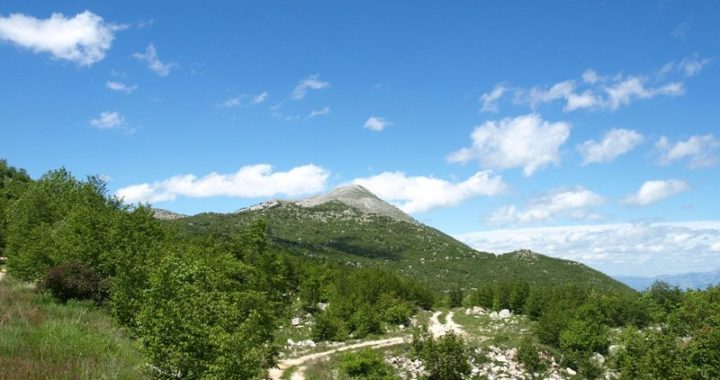 pogled_na_svilaju