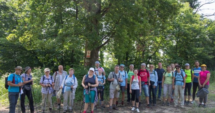 Šetnjom i brodom oko Karlovca