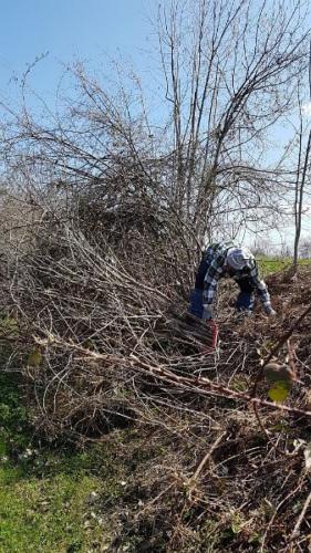 Grdanjci – Višnjevec, markiranje