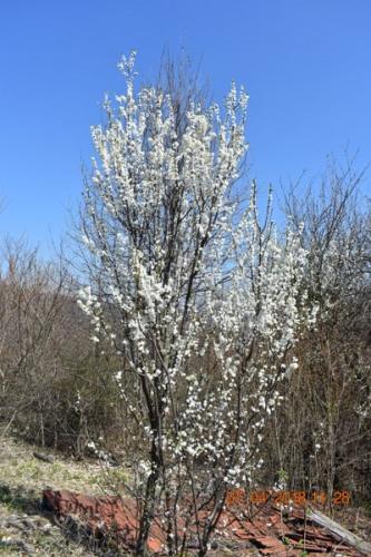 Grdanjci – Višnjevec, markiranje