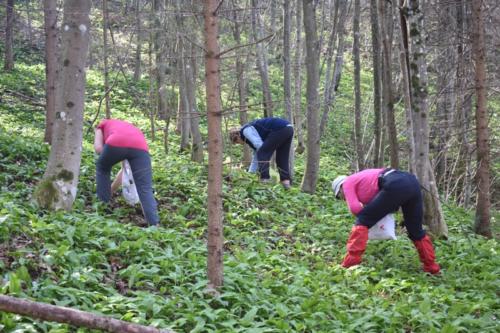 Grdanjci – Višnjevec, markiranje