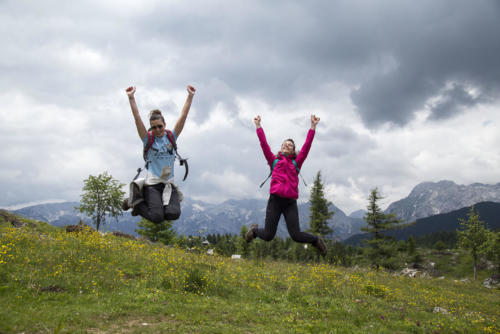 Velika planina