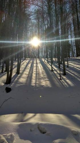 HPD Pliva - Bjelolasica