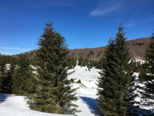 HPD Pliva - Bjelolasica