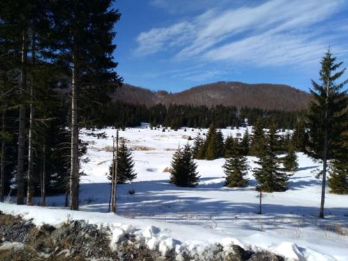 HPD Pliva - Bjelolasica