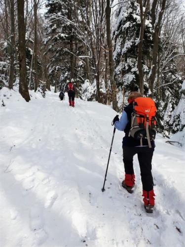 Ivančica - HPD Pliva