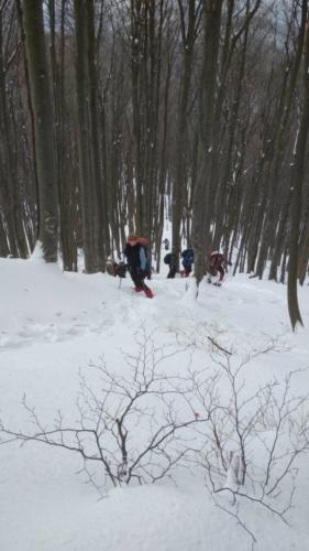 Ivančica - HPD Pliva