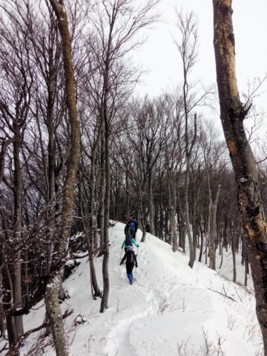 Ivančica - HPD Pliva