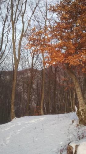 Ivančica - HPD Pliva