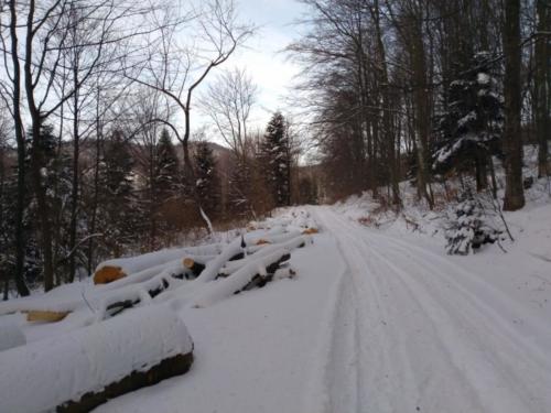 Ivančica - HPD Pliva