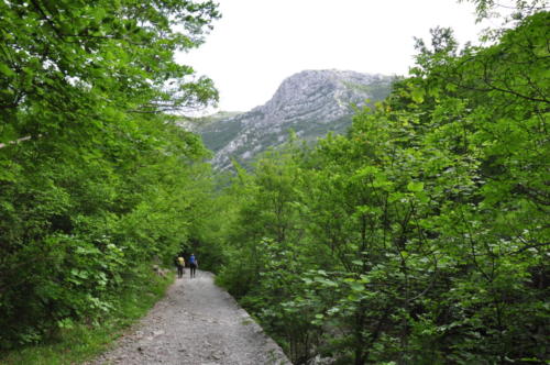 Mala i Velika Paklenica 
