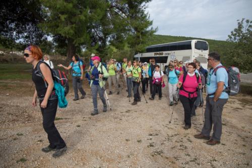 Korčula i Pelješac