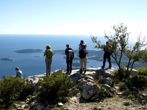 35