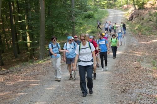 Šetnjom i brodom oko Karlovca