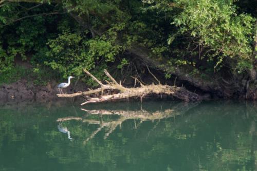 Šetnjom i brodom oko Karlovca