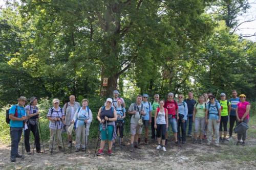 Šetnjom i brodom oko Karlovca
