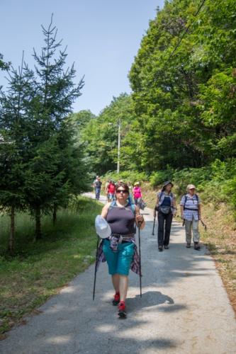 Šetnjom i brodom oko Karlovca