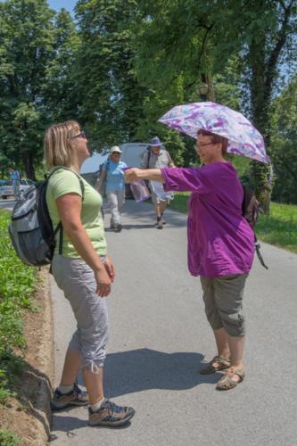Šetnjom i brodom oko Karlovca