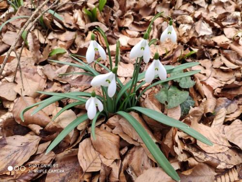 Rude – Plešivica – Oštrc - Rude