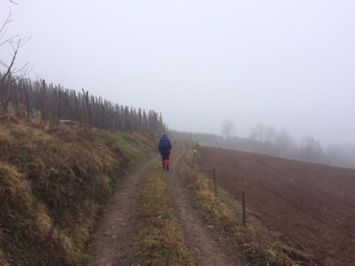 Zimski pohod Vinica - Martinščak