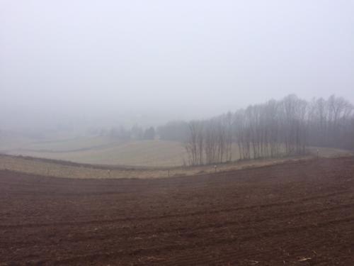 Zimski pohod Vinica - Martinščak